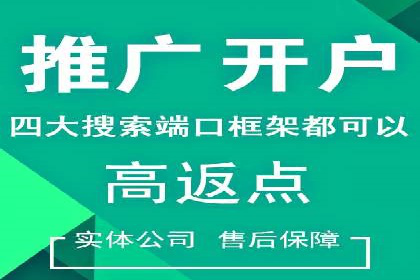 SEM服务在本地化营销中的应用案例